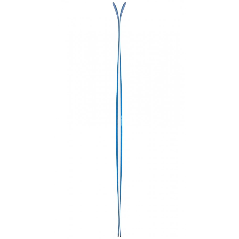 BLACK CROWS OVA FREEBIRD 4 BLACK CROWS OVA FREEBIRD – Image 4